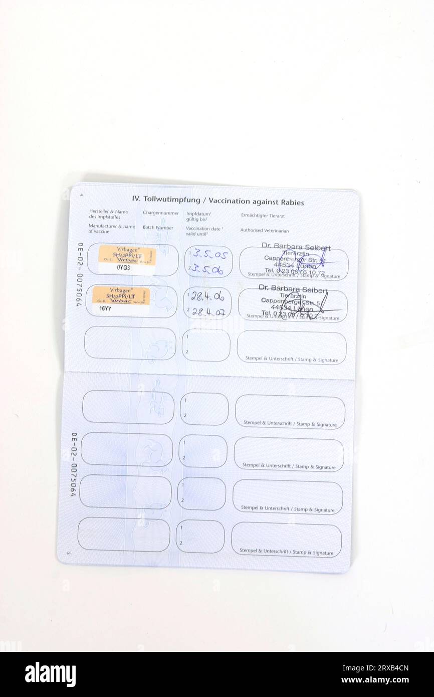 Rabies vaccine cheap pet passport