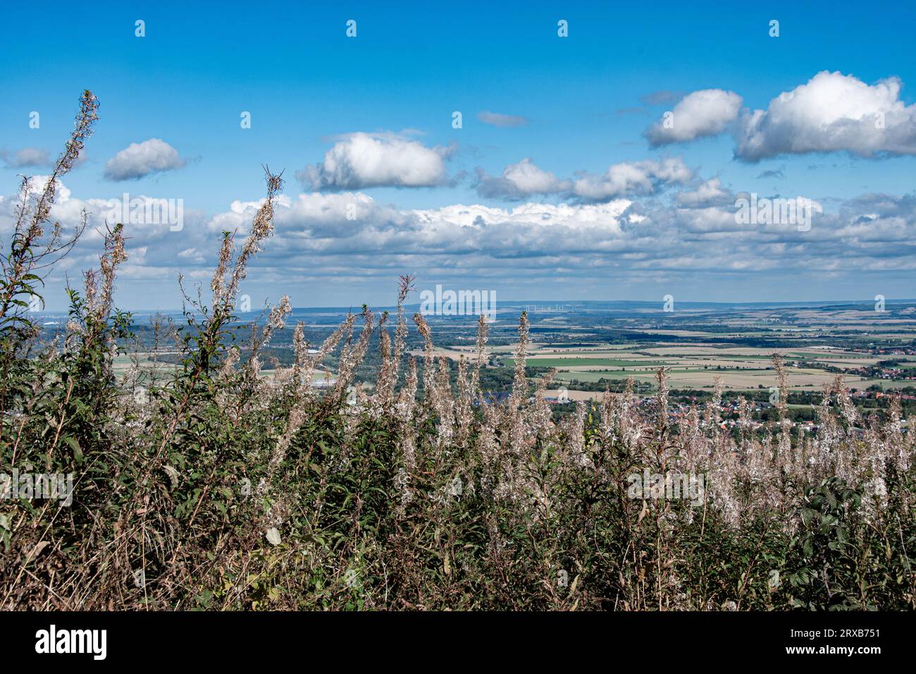 Vom Rand einer freien Stelle am Berg, viel grün belebt den Vordergrund. Dann fällt der Blick auf Bad Harzburg im Tal. Die Berge drum rum sind bewalde Stock Photo