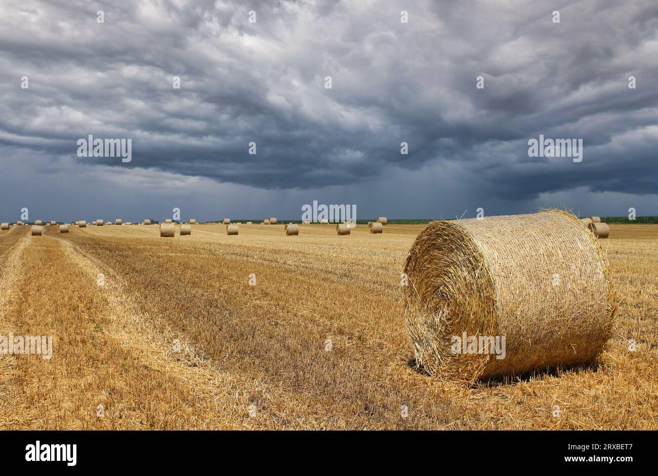 stormy sky over field with straw bale Stock Photo - Alamy