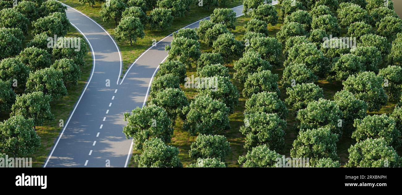Forked Roa's Arial image of a forked road within a forest of horse chestnut trees ...