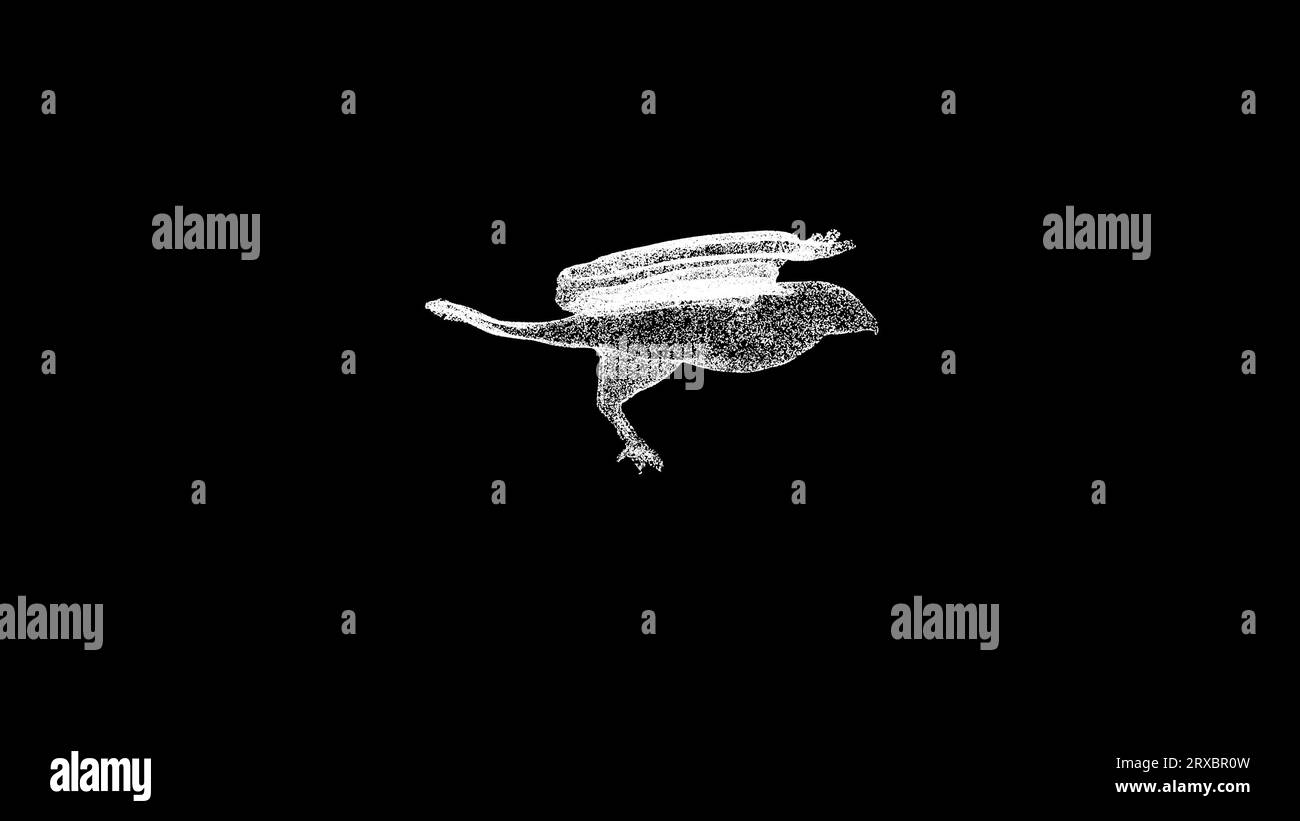 3D Falcon rotates on black background. Birds of prey concept. Wild