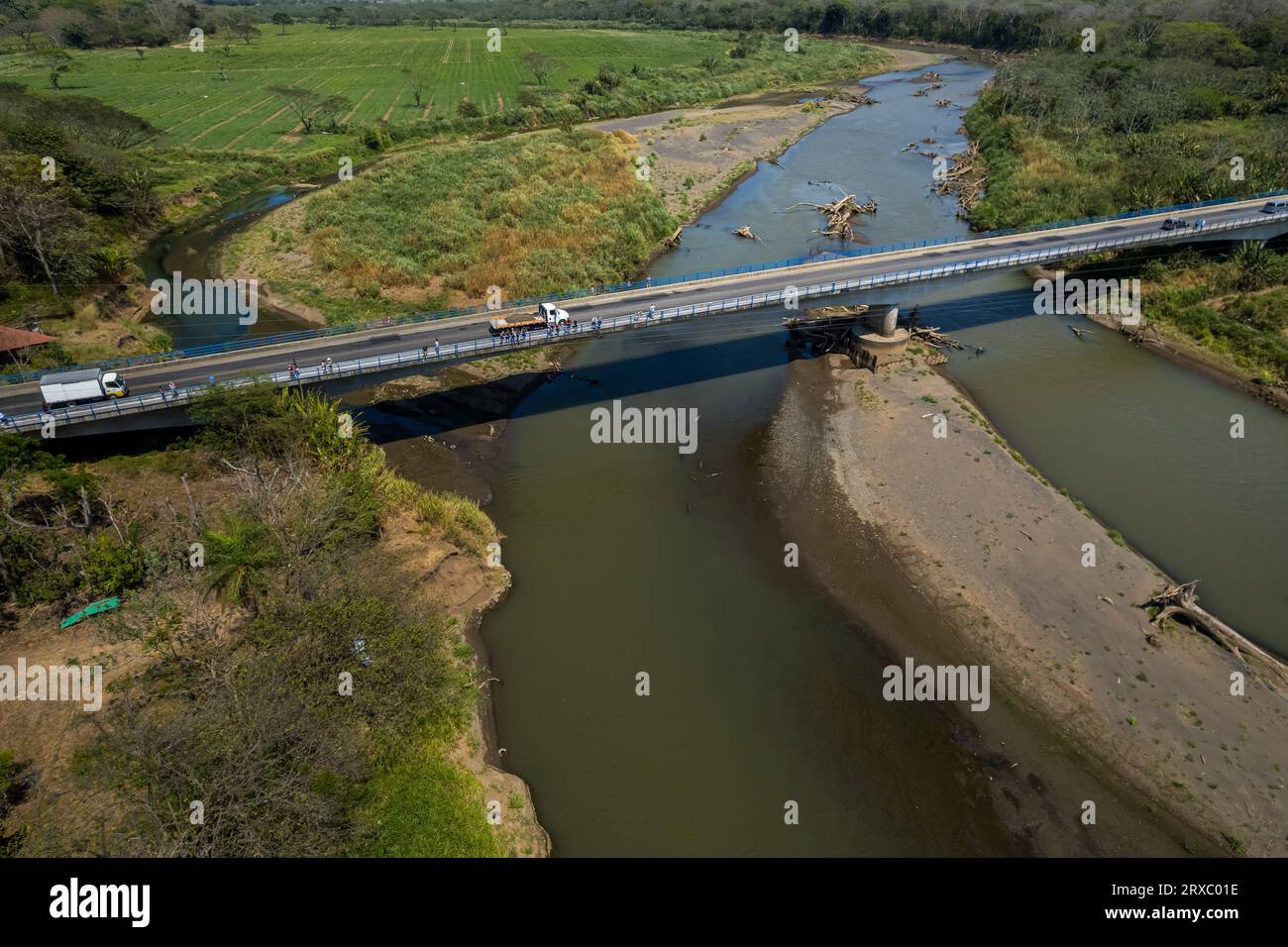 Costa Rica Aligators Alligators scaly texture hi-res stock photography and images - Alamy