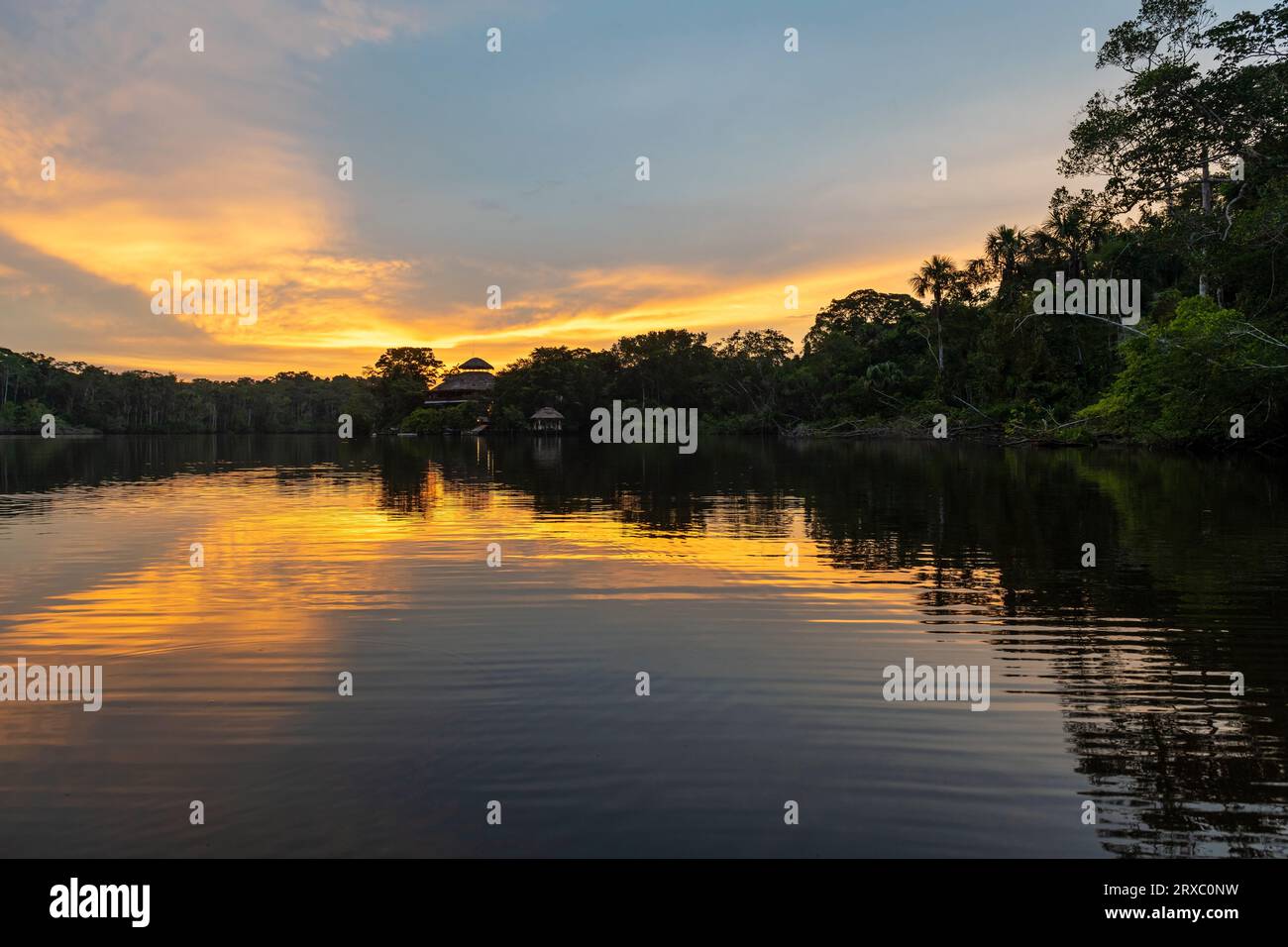 Amazon River Rainforest sunset reflection, Yasuni national park, Ecuador. Stock Photo