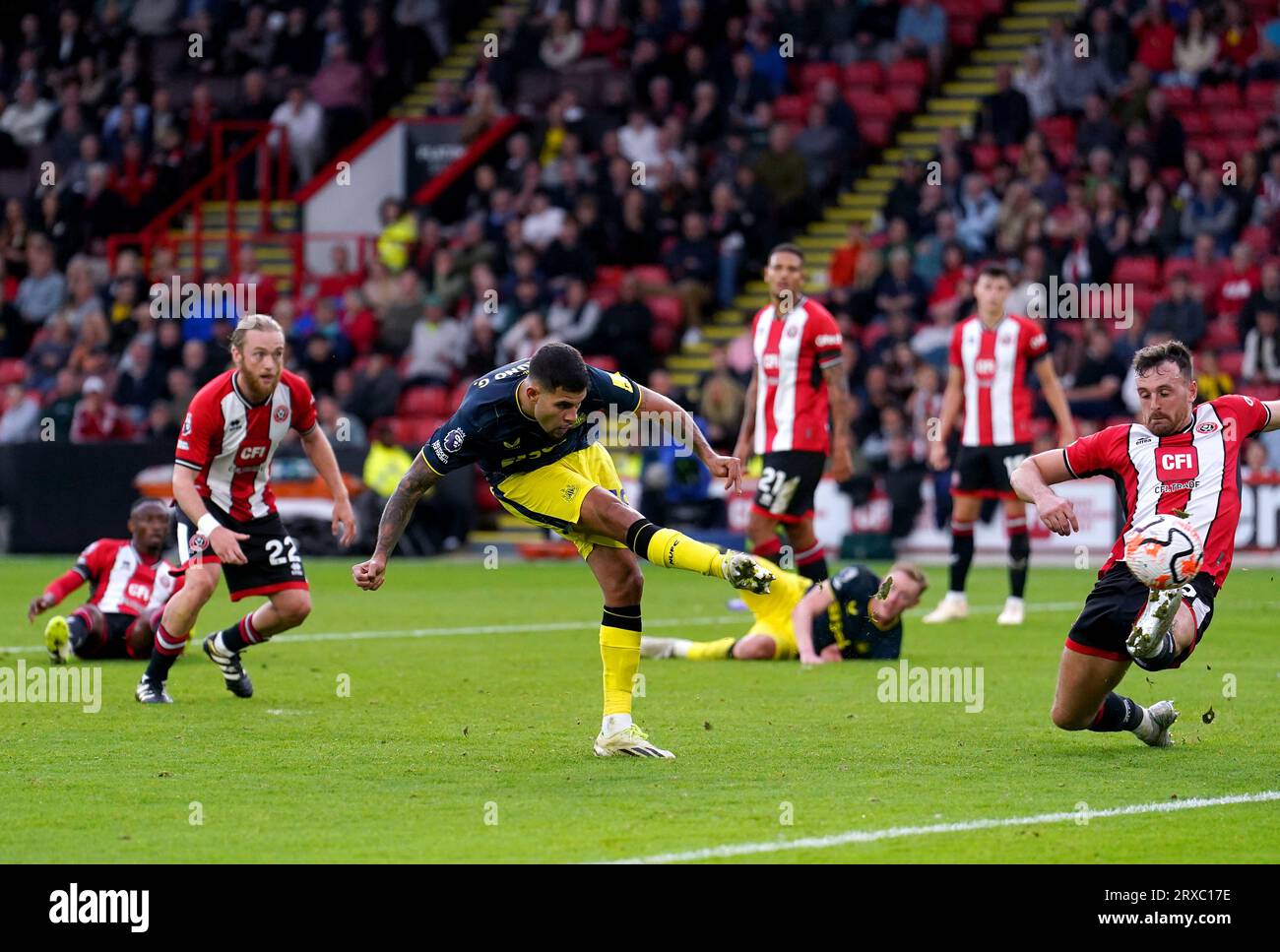 Newcastle United s Bruno Guimaraes Scores Their Side s Seventh Goal Of newcastle-united-s-bruno-guimaraes-scores-their-side-s-seventh-goal-of