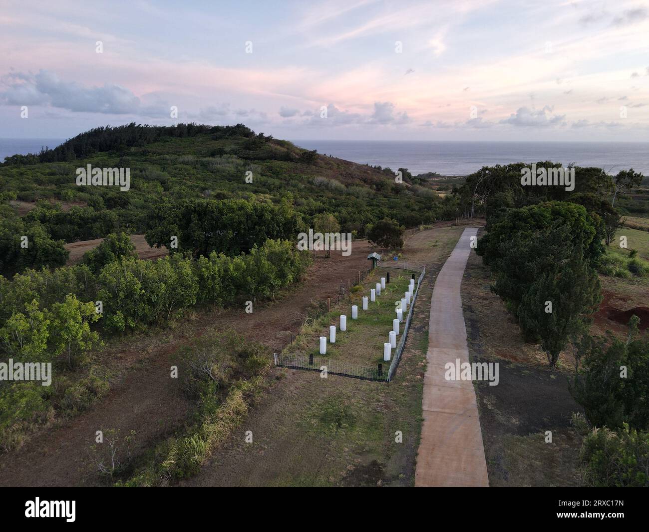 Aerial view of a cacao plantation on the south side of Kauai Stock