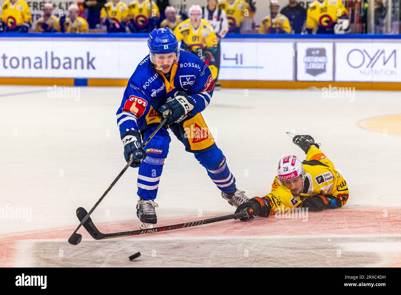 Thierry Bader #79 (SC Bern) throws everything into the duel with Niklas Hansson #19 (EV Zug) during the National League Regular Season ice hockey game between EV Zug and SC Bern on