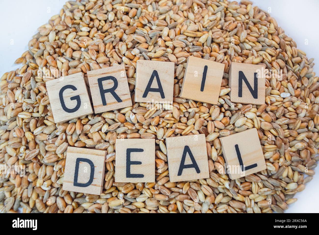 Wheat grains with letters Grain Deal isolated, Ukrainian grain crisis