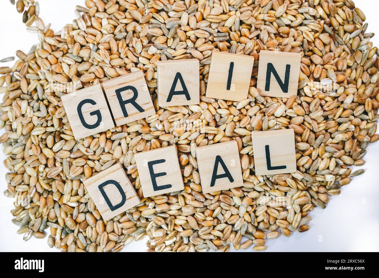 Wheat grains with letters Grain Deal isolated, Ukrainian grain crisis