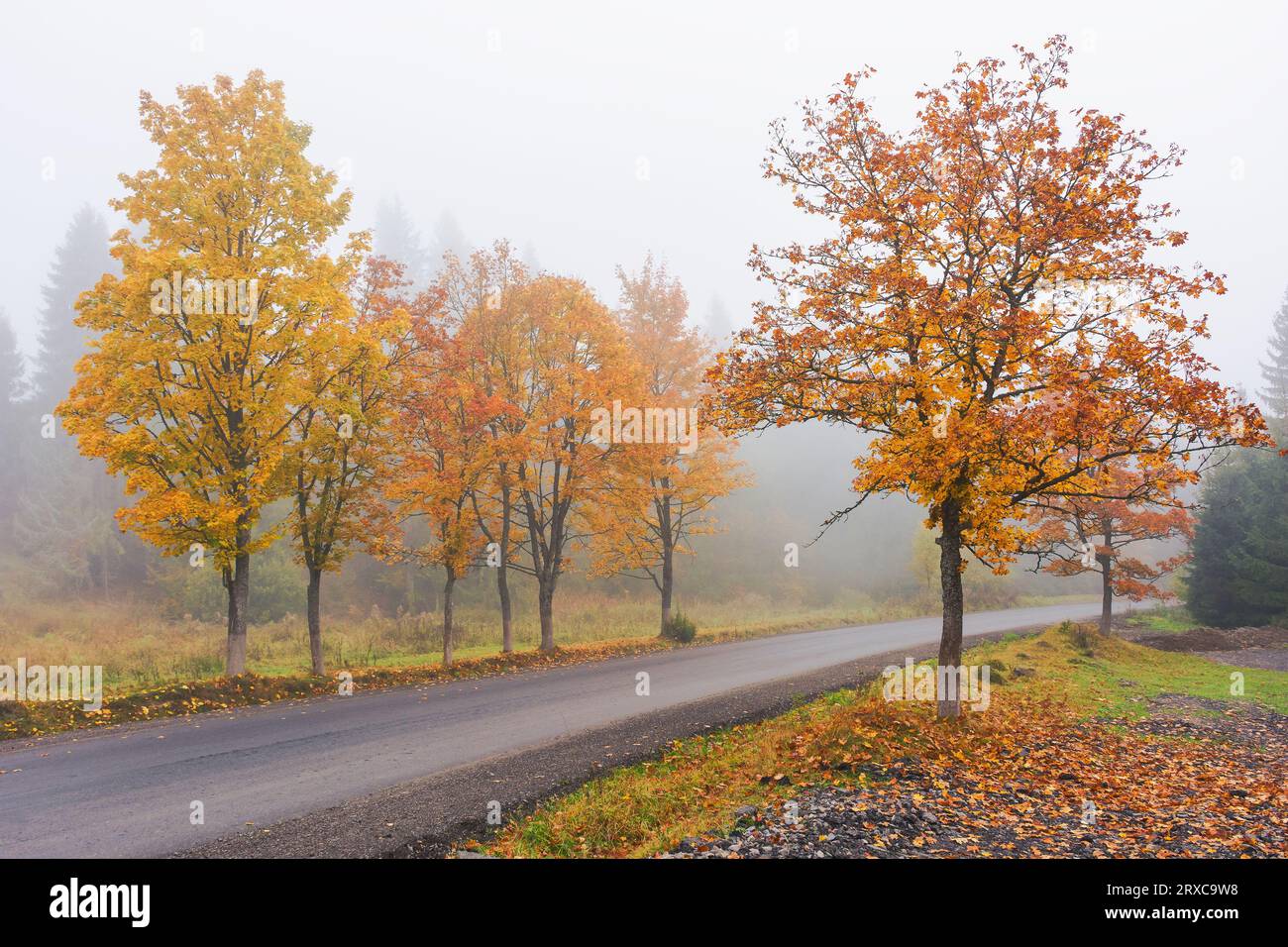 Asphalt road through countryside hi-res stock photography and images ...