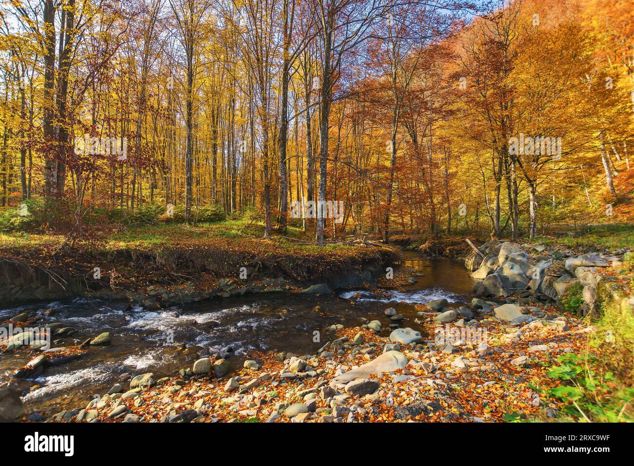 shallow water stream with stones and rocks. ecology disaster due to dry weather in autumn season. consequence of climate change Stock Photo