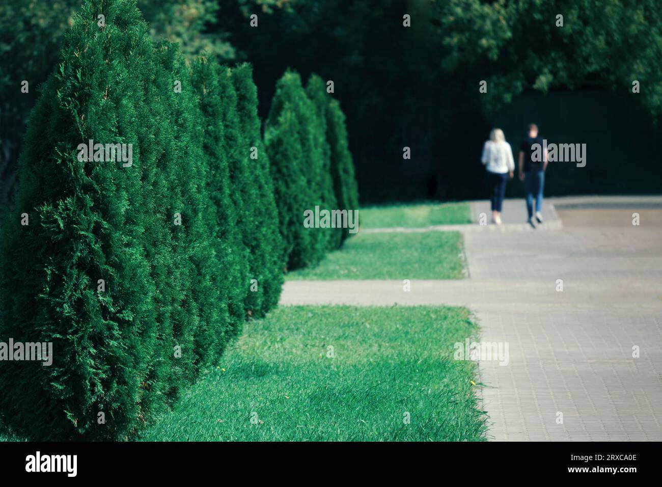 Couple walking in the park with green grass and trees in the background Stock Photo