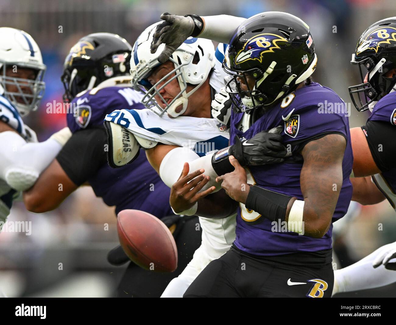 Baltimore, United States. 24th Sep, 2023. Baltimore Ravens quarterback Lamar Jackson (8) fumbles the ball under pressure by Indianapolis Colts safety Henry Black (36) during the first half at M&T Bank Stadium in Baltimore, Maryland, on Sunday, September 24, 2023. Photo by David Tulis/UPI Credit: UPI/Alamy Live News Stock Photo