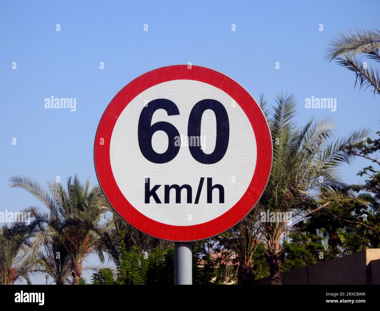 60 KM Speed Limit Sign A Highway Sixty Kilometers Per Hour Traffic 60-km-speed-limit-sign-a-highway-sixty-kilometers-per-hour-traffic