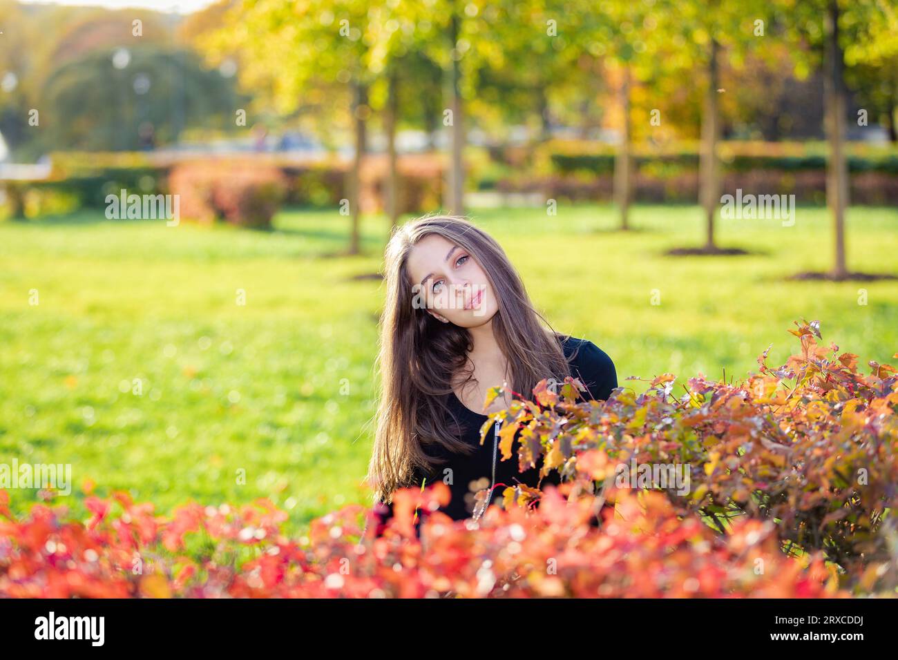 Portrait of a beautiful girl in an autumn park Stock Photo - Alamy
