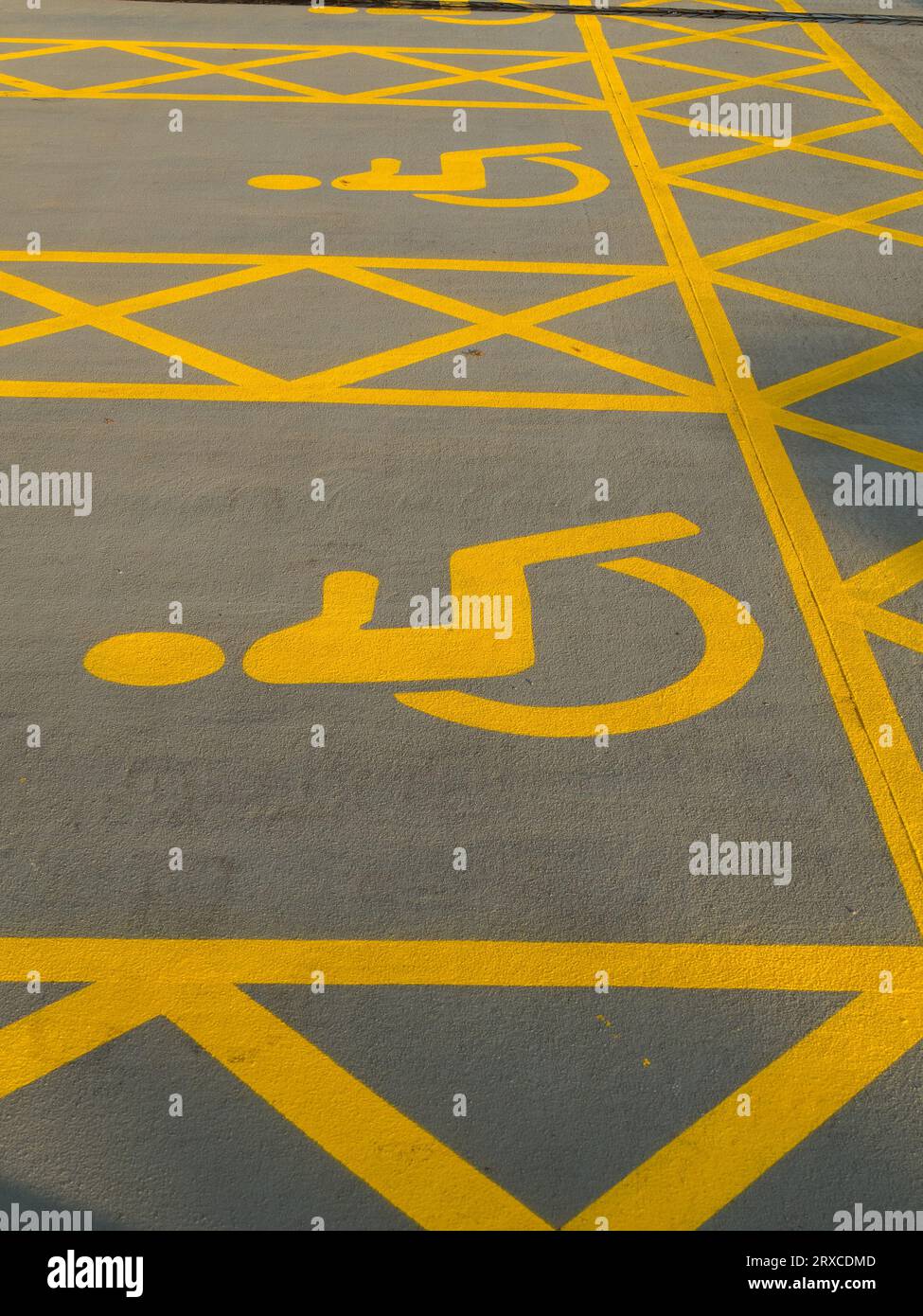 Two freshly painted disabled parking spaces in yellow paint with cross hatching and disabled symbol in car park, England, UK Stock Photo