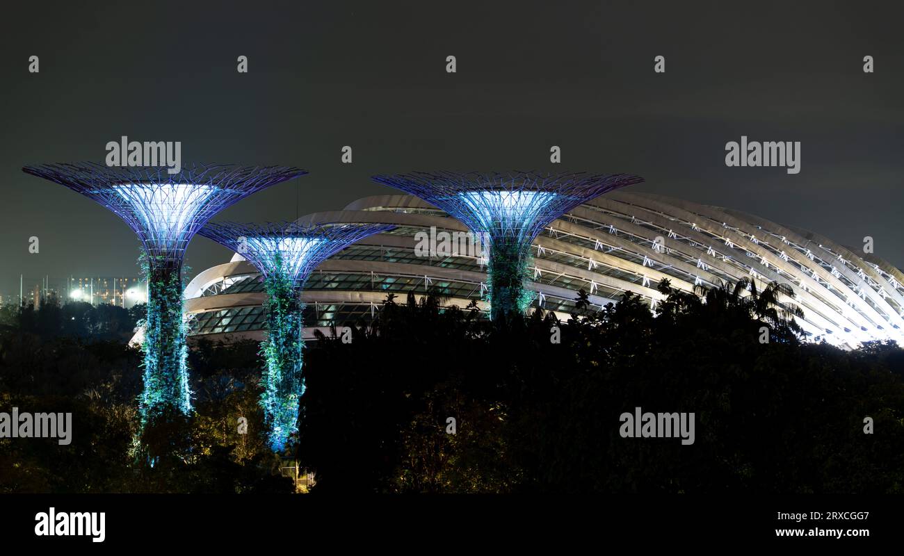 Gardens by the bay supertrees during garden rhapsody light show at