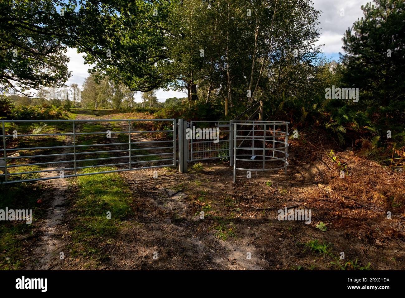A modern gate and round swing kissing gate on a footpath allowing the control of livestock across common land and the new forest. Stock Photo