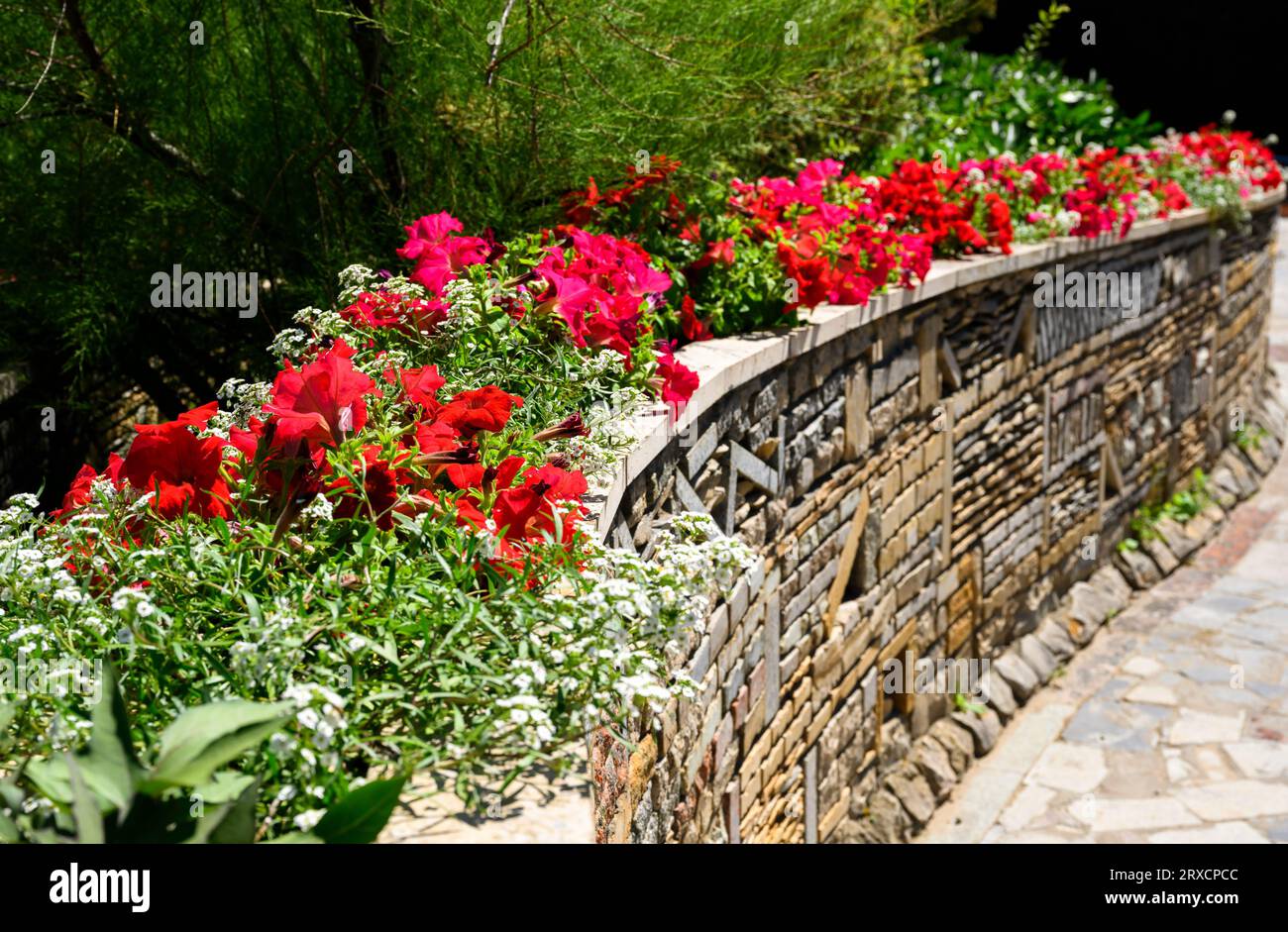 Landscape design of house backyard with retaining wall and flowerbed, landscaped home garden in summer. Flowers and plants on stone retaining wall. Lu Stock Photo