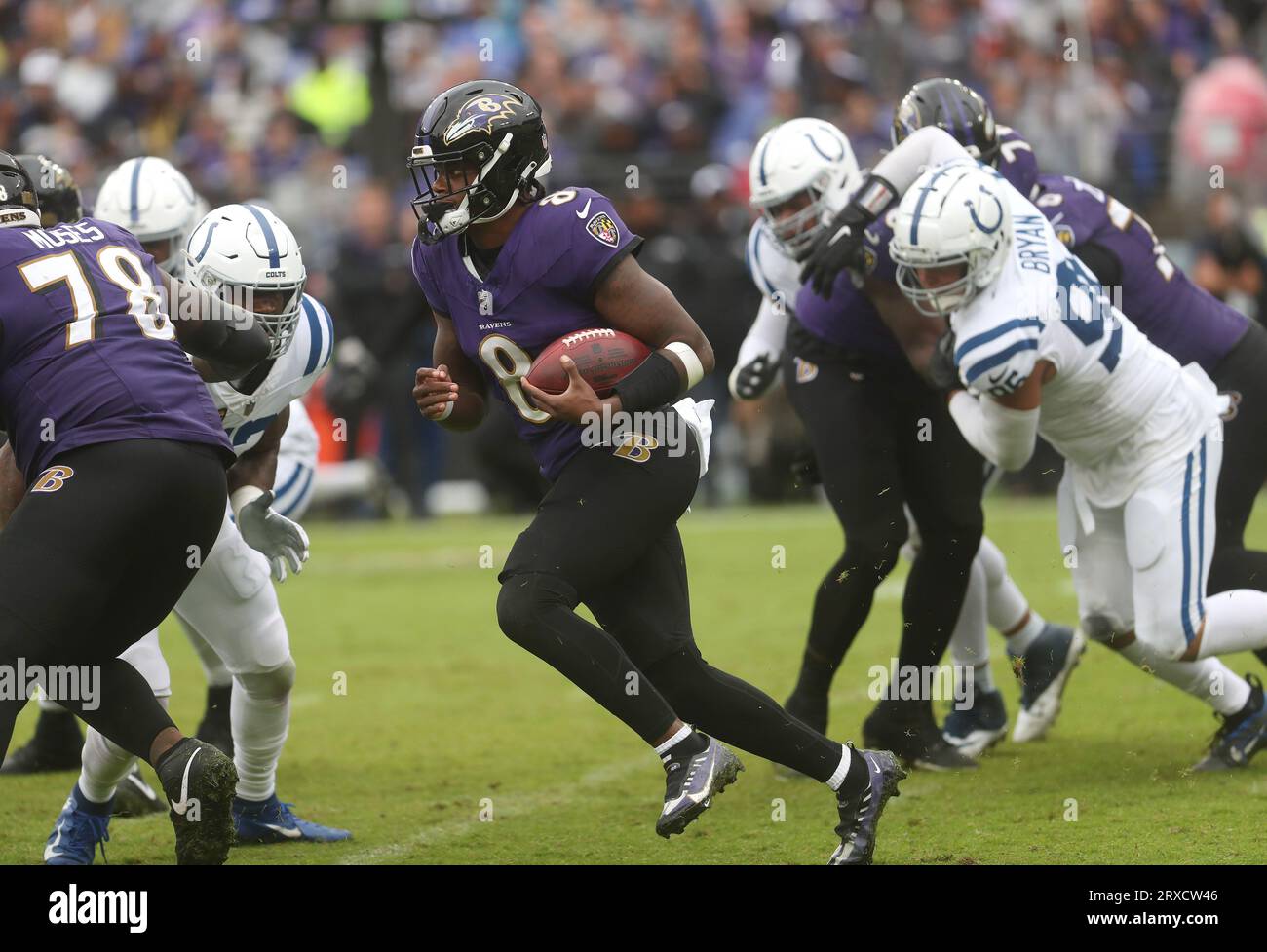 Baltimore, MD, USA. 24th Sep, 2023. Baltimore Ravens QB Lamar Jackson (8) in action against the Indianapolis Colts at M&T Bank Stadium in Baltimore, MD. Photo/ Mike Buscher/Cal Sport Media/Alamy Live News Stock Photo
