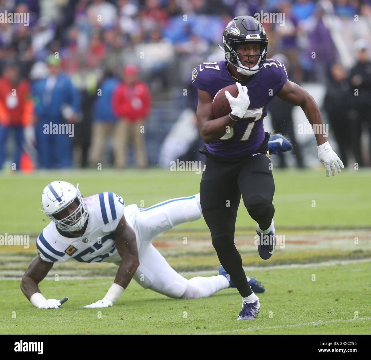 Baltimore, MD, USA. 24th Sep, 2023. Baltimore Ravens RB Kenyan Drake (37) in action against the Indianapolis Colts at M&T Bank Stadium in Baltimore, MD. Photo/ Mike Buscher/Cal Sport Media/Alamy Live News Stock Photo