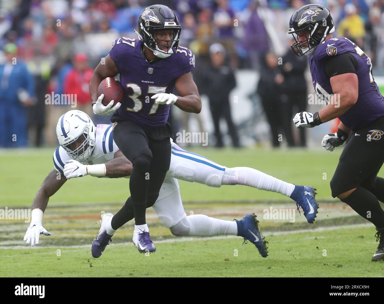 Baltimore, MD, USA. 24th Sep, 2023. Baltimore Ravens RB Kenyan Drake (37) in action against the Indianapolis Colts at M&T Bank Stadium in Baltimore, MD. Photo/ Mike Buscher/Cal Sport Media/Alamy Live News Stock Photo