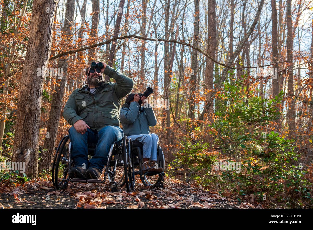 Two people using wheelchairs look for birds while on a hike. Stock Photo