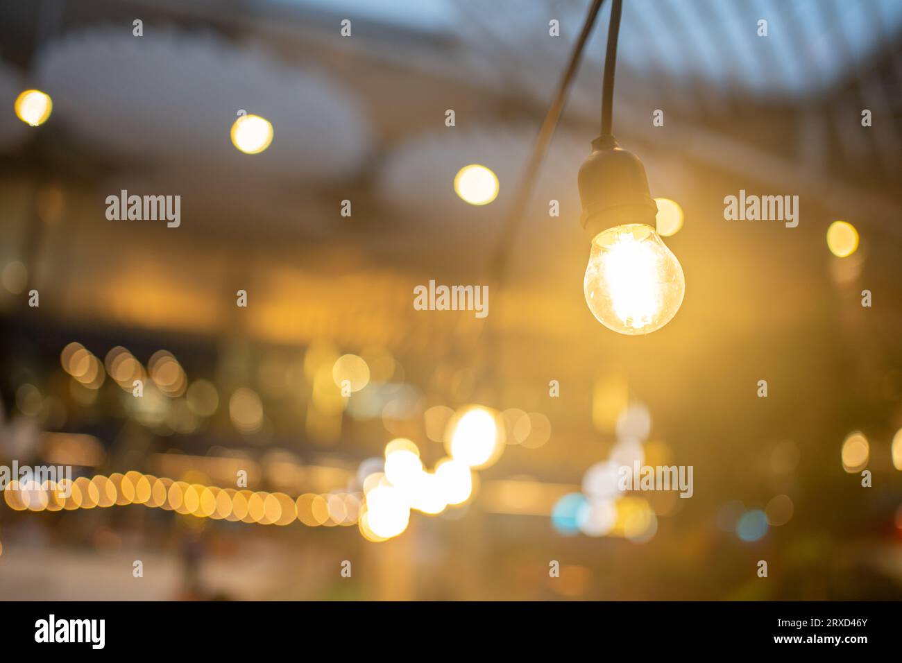 https://c8.alamy.com/comp/2RXD46Y/decorative-outdoor-light-bulbs-hanging-in-air-cozy-warm-yellow-light-bulbs-lined-up-in-row-background-is-blurred-luminous-incandescent-lamps-hanging-in-form-go-garland-in-yard-2RXD46Y.jpg