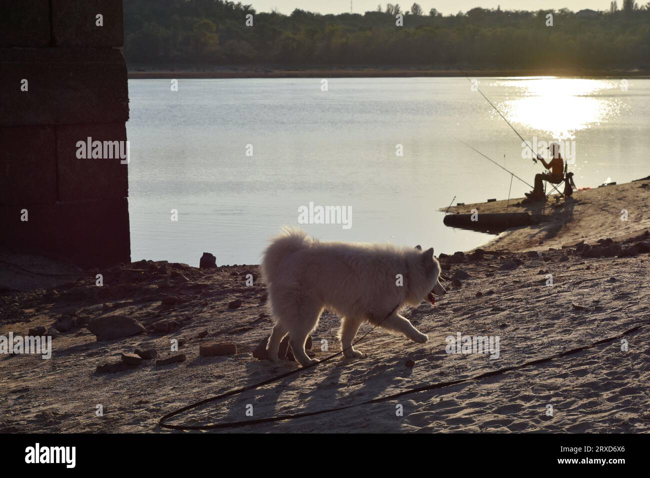 Zaporizhzhia, Ukraine. 18th Sep, 2023. Fisherman and a dog seen on the shoreline by the central pier as water in Dnipro river dropped more than 4 meters after the explosion of the Kakhovka dam in Zaporizhzhia. The commander of the Tavria group troops, Oleksandr Tarnavskyi (Ukraine), said that the Defence Forces had broken through the Russian defences in Verbove, Zaporizhzhia region. He adds that the main thing is not to lose the initiative that the Ukrainian army has now. (Credit Image: © Andriy Andriyenko/SOPA Images via ZUMA Press Wire) EDITORIAL USAGE ONLY! Not for Commercial USAGE! Stock Photo