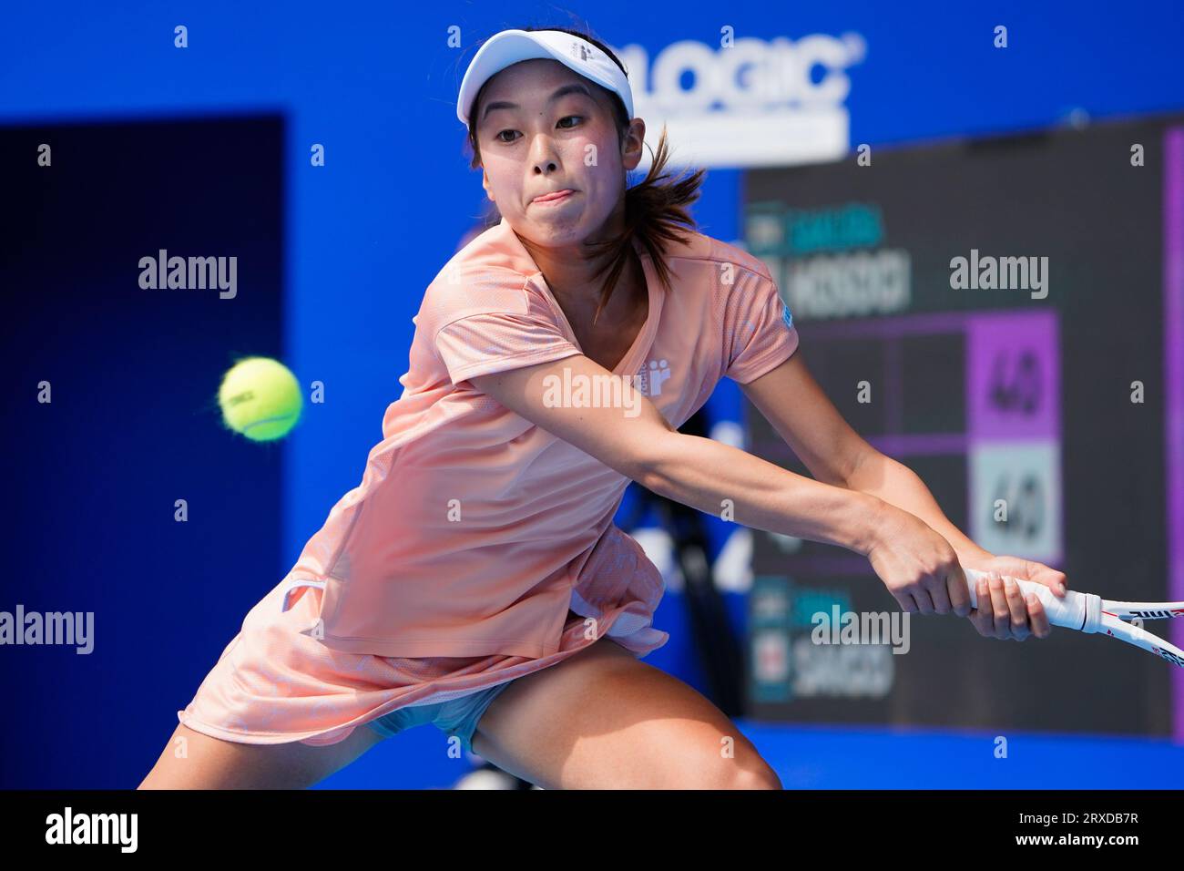 Rina saigo hi-res stock photography and images - Alamy