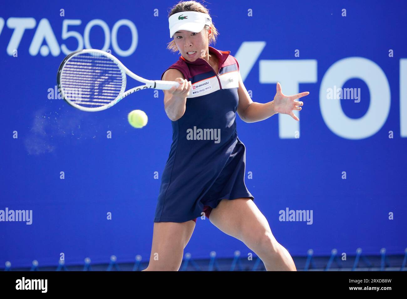 toray pan pacific open tennis