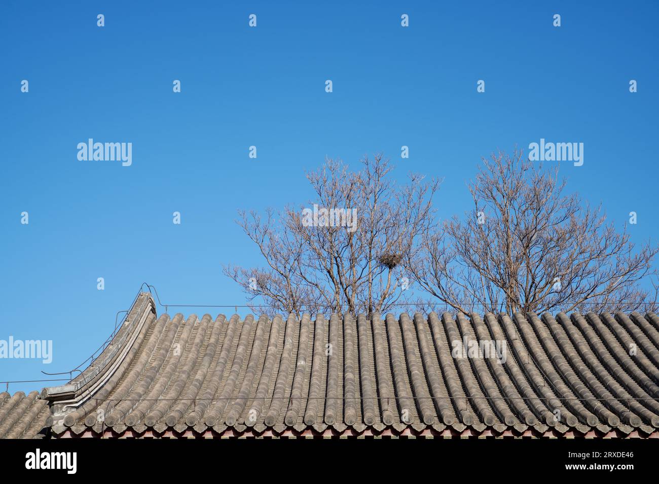 The grey ridge hi-res stock photography and images - Alamy