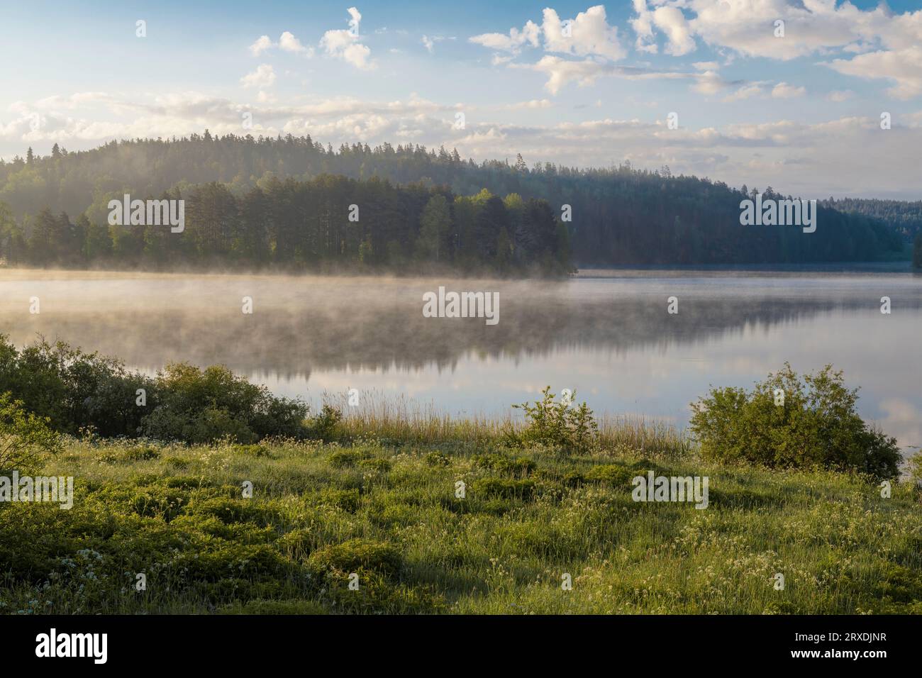 Early June morning on Ladoga lake. Karelia, Russian Federation Stock Photo