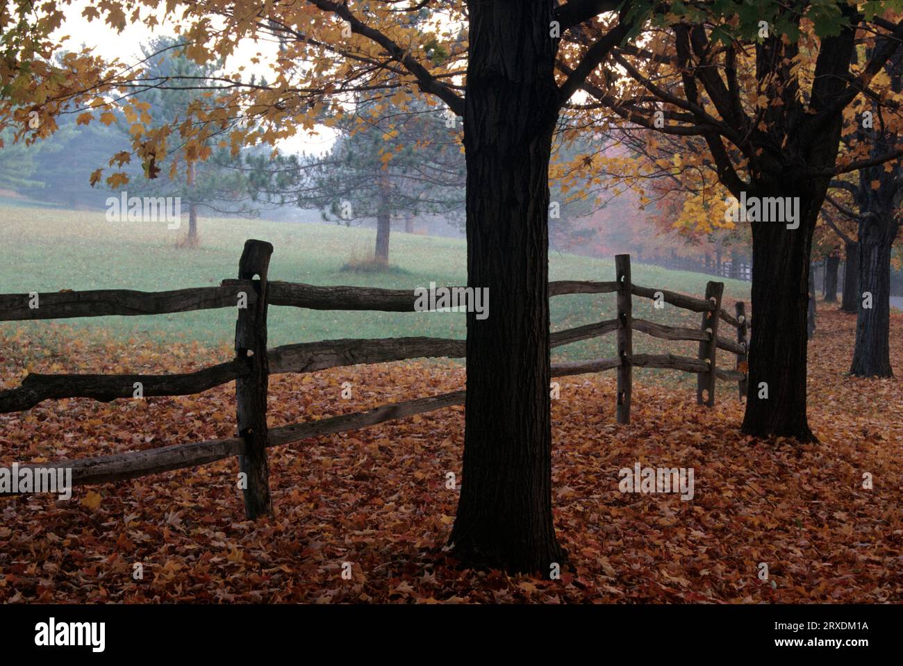 Mellon Estate fenceline, Westmoreland County, Pennsylvania Stock Photo