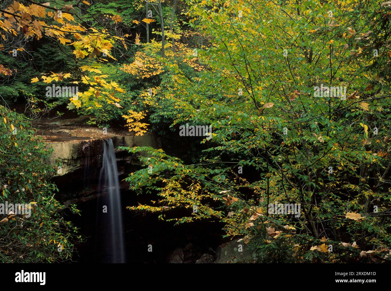 Cucumber Falls, Ohiopyle State Park, Pennsylvania Stock Photo - Alamy