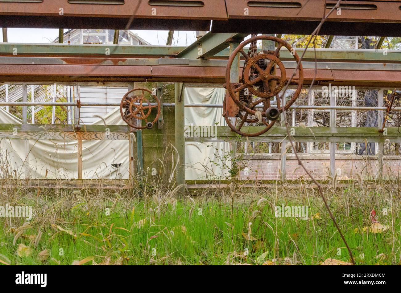 Greenhouse area at St. Elizabeths Mental Hospital in Washington DC