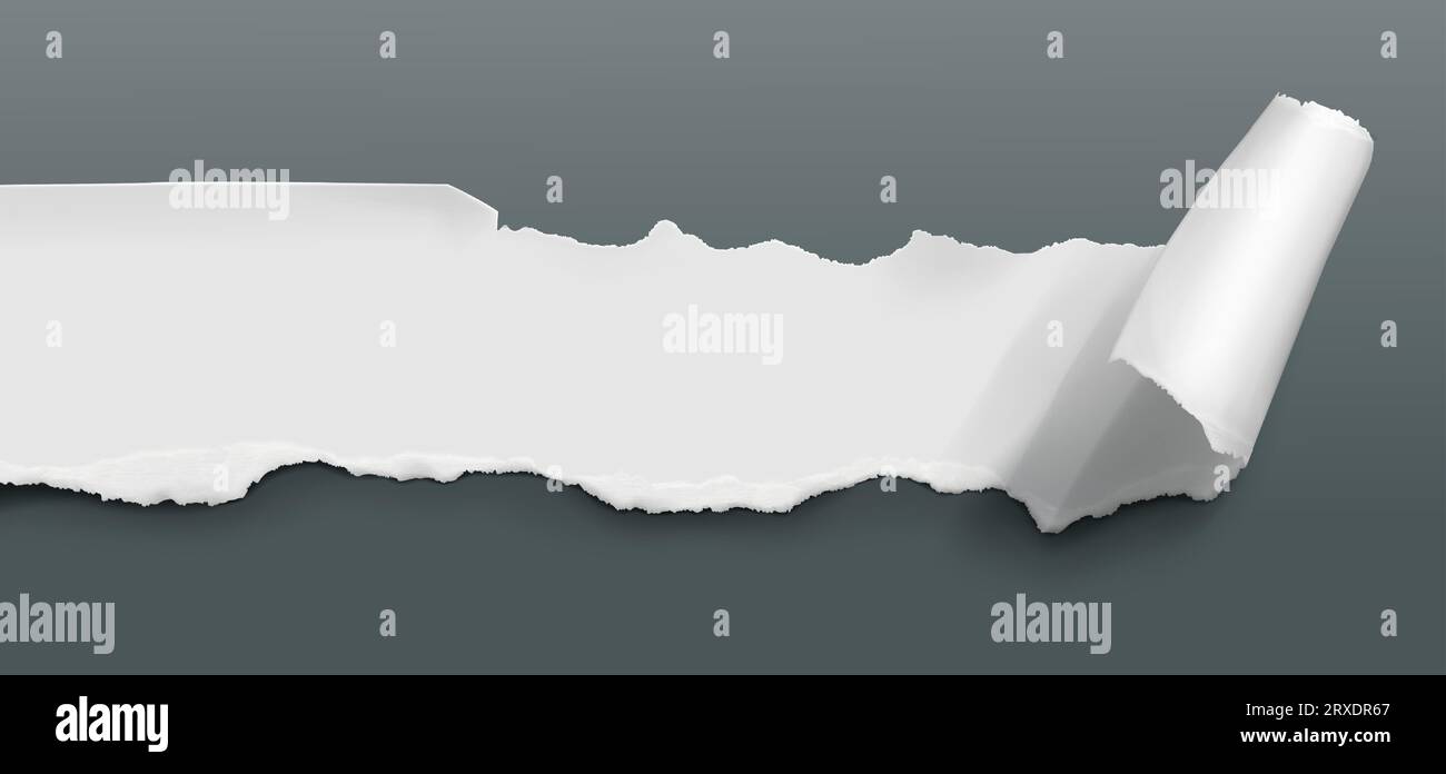 Rip paper page curl with torn edge vector sheet. Clean canvas surface