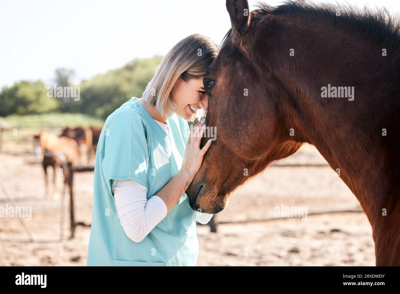 Vet, doctor and woman with care for horse for medical examination, research and health check. Healthcare, nurse and happy person on farm for Stock Photo