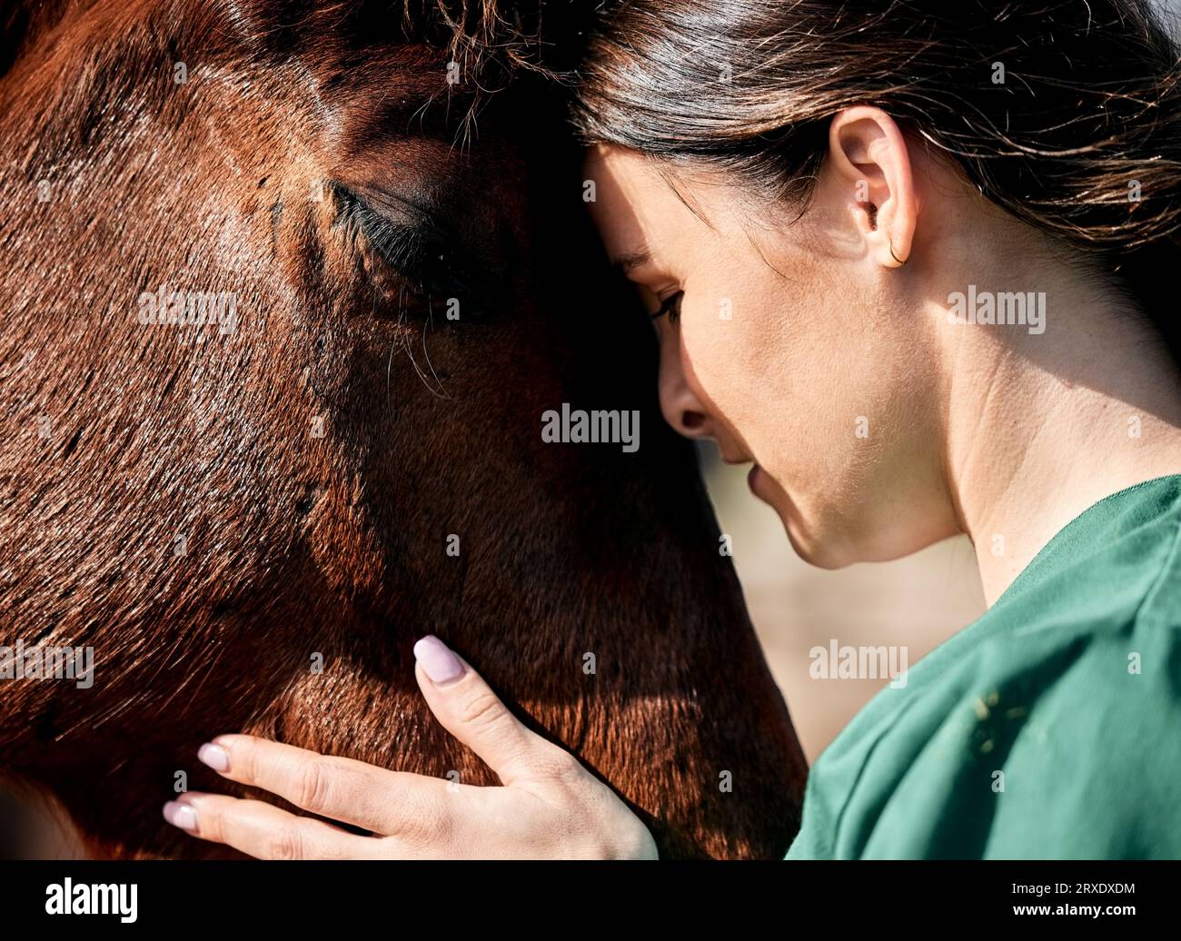 Pet, doctor and woman with care for horse for medical examination, research and health check. Healthcare, nurse and happy person on farm for Stock Photo