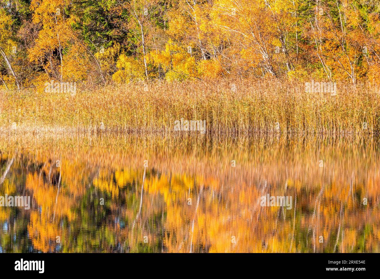 River reflection beach hi-res stock photography and images - Alamy