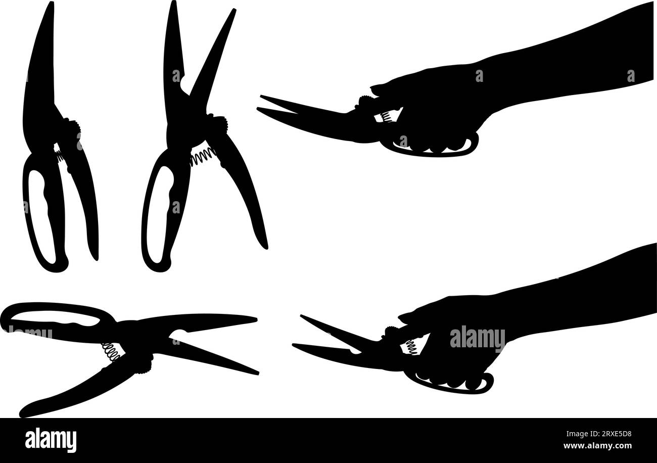 Set of different kitchen scissors isolated on white Stock Vector Image