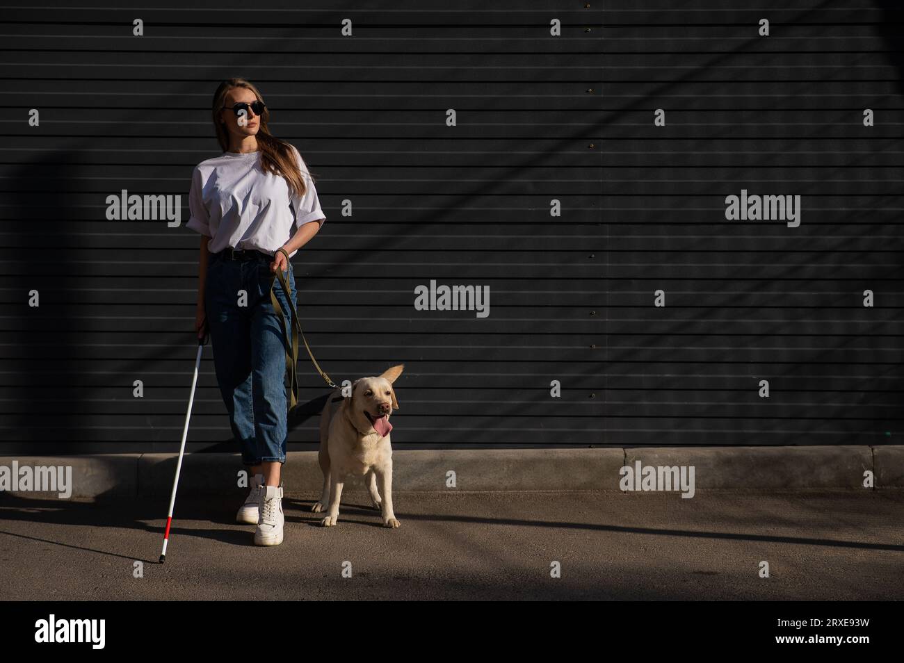 Blind woman walking guide dog outdoors Stock Photo - Alamy