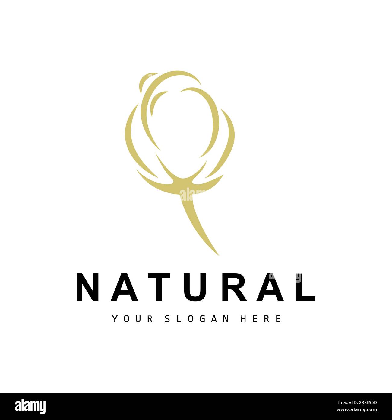 Cotton Logo, Natural Biological Organic Plant Design, Beauty Textile and Clothing Vector, Soft Cotton Flowers Stock Vector