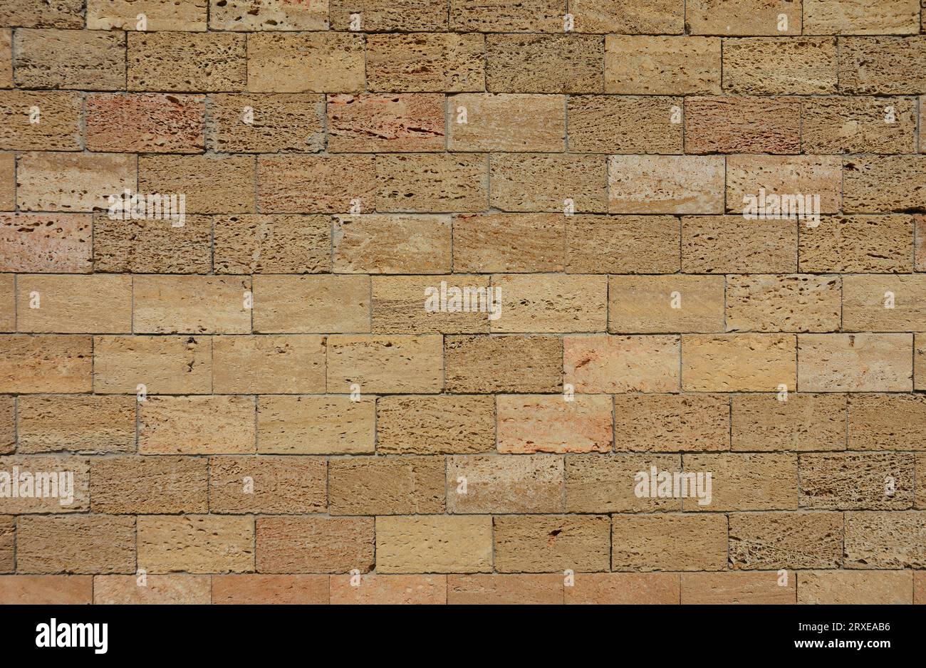 Shelly limestone background texture. Stone wall made of shelly limestone, it is a highly