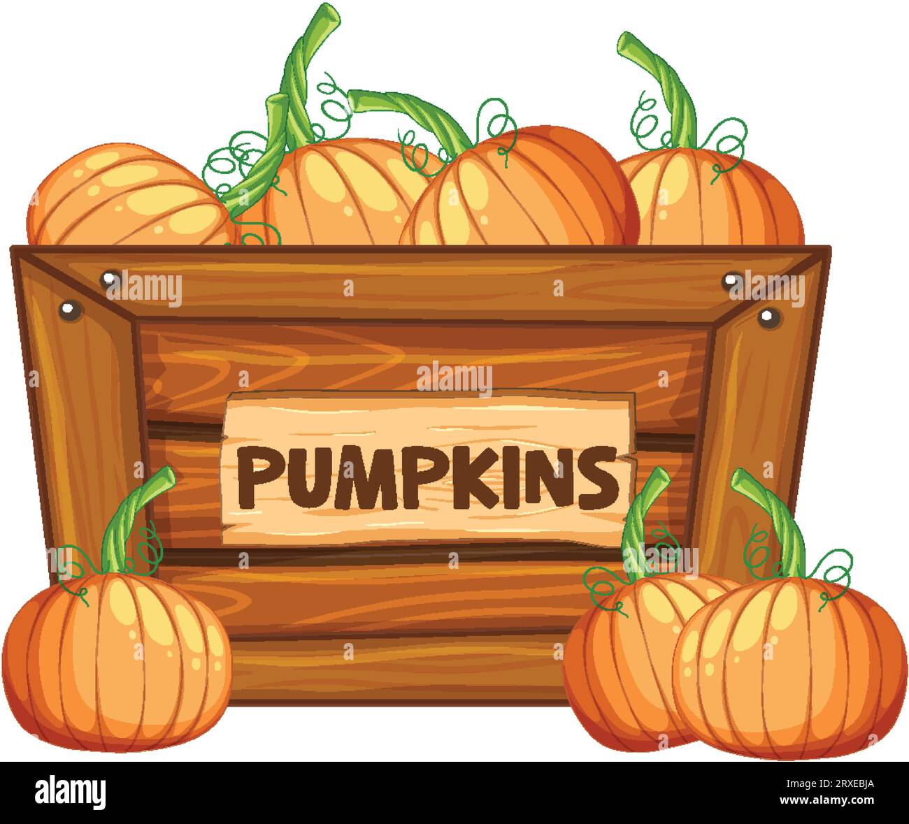 Colorful vector illustration of pumpkins displayed in a wooden box with ...