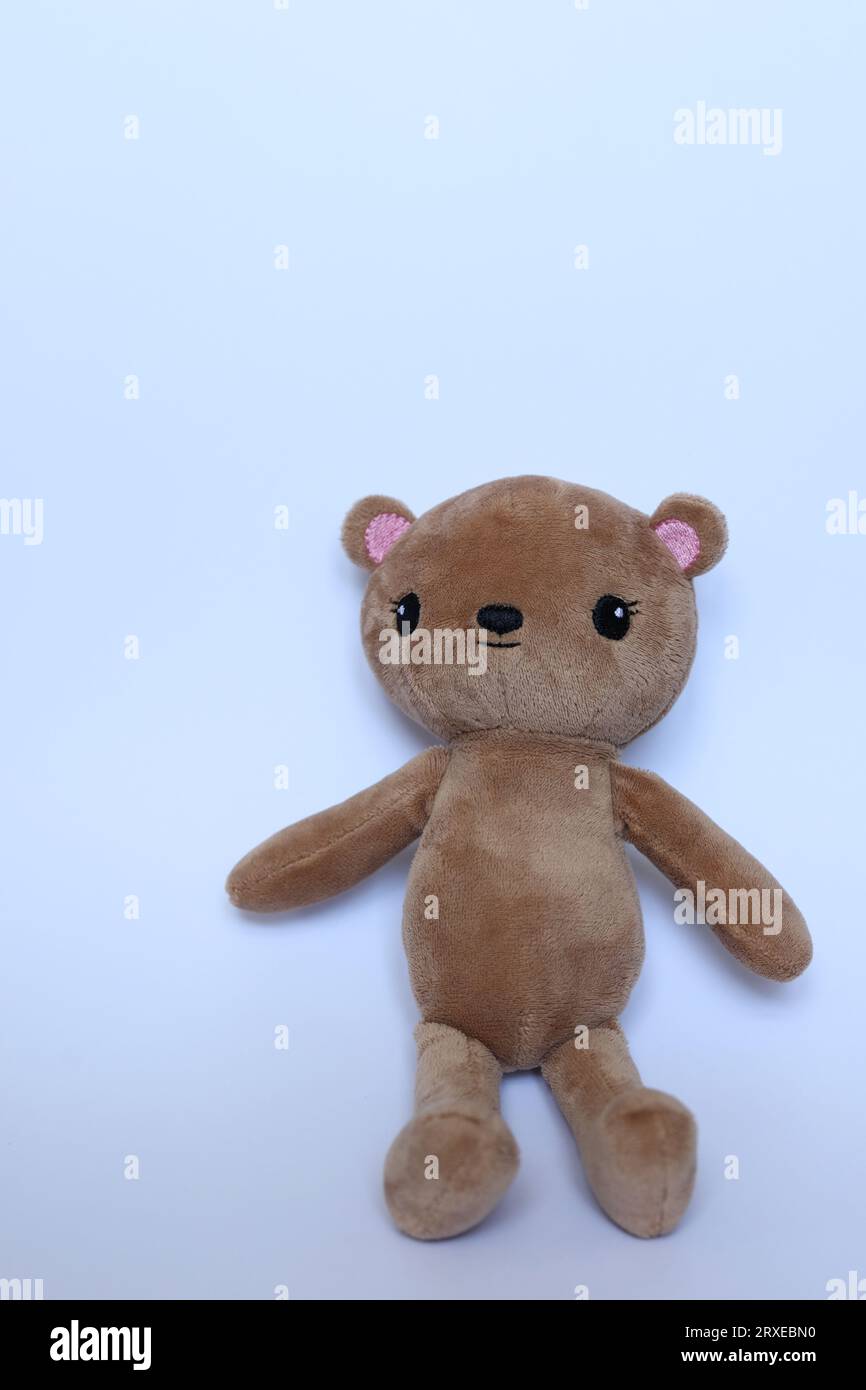 teddy bear on white background Stock Photo