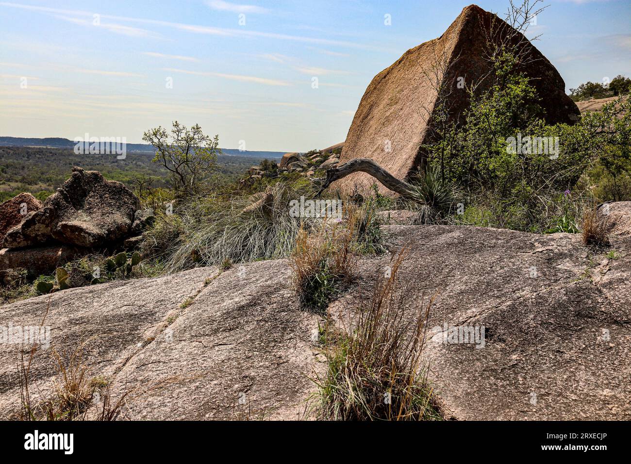 Granite geological stone and rock formations in the Texas Hill Country, Enchanted Rock State Park, Texas Stock Photo