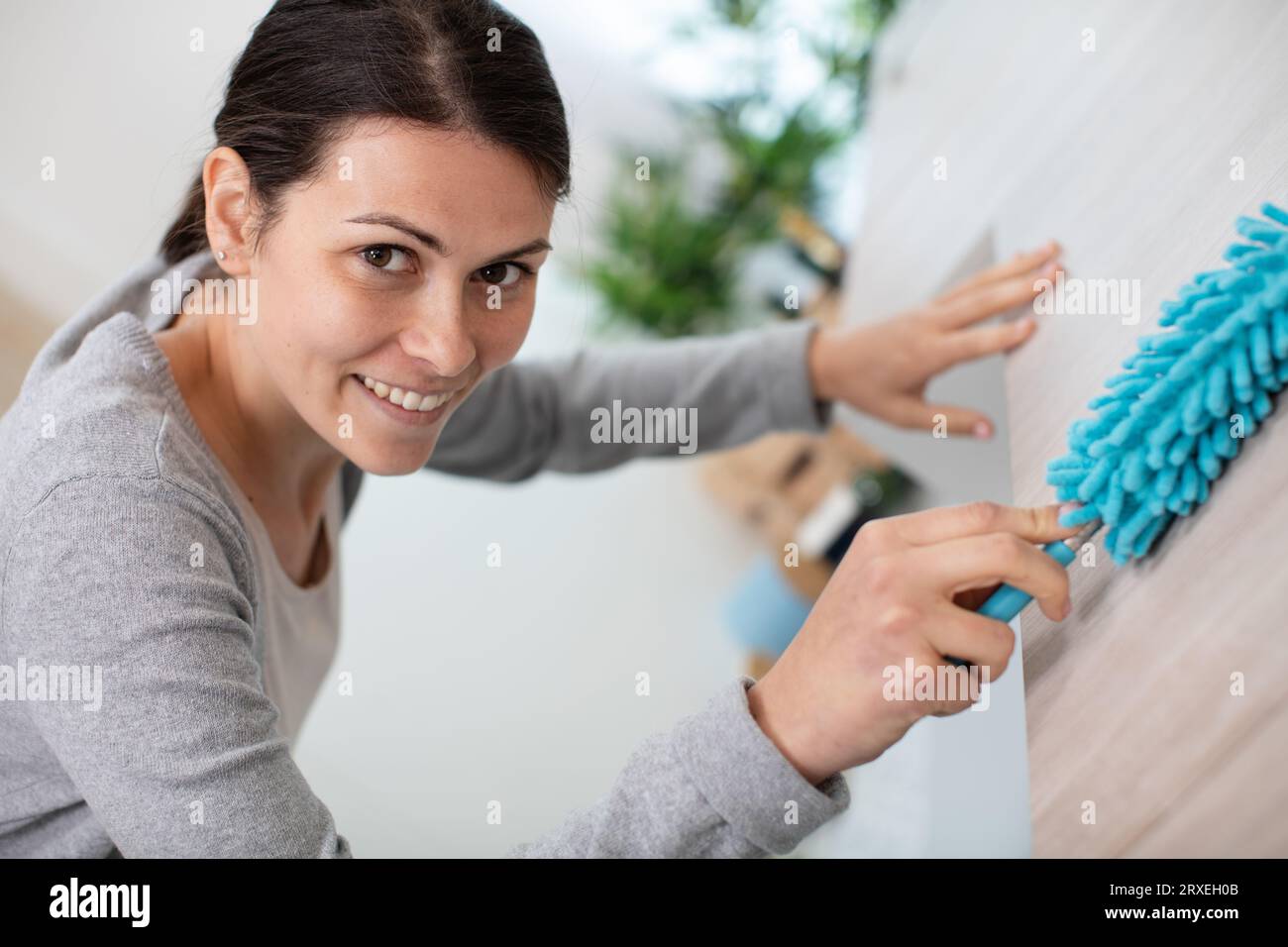 Woman dusting cupboard hi-res stock photography and images - Alamy