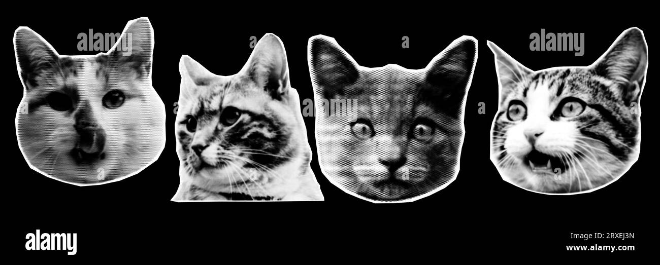 Cat heads halftone. Collage design elements in trendy magazine style. Vector illustration with vintage grunge punk cutout shapes Stock Vector