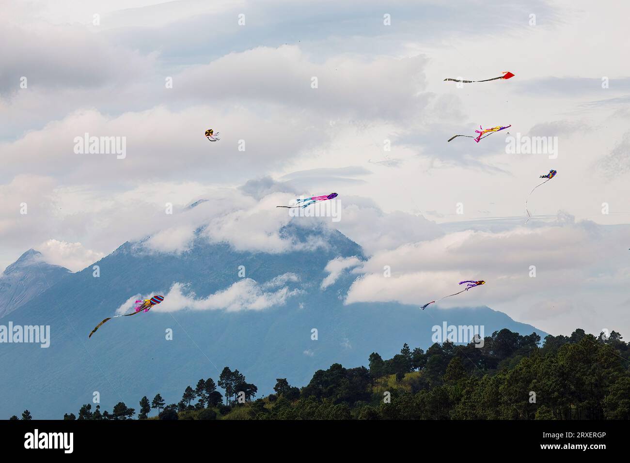 Day of the Dead kites Stock Photo Alamy