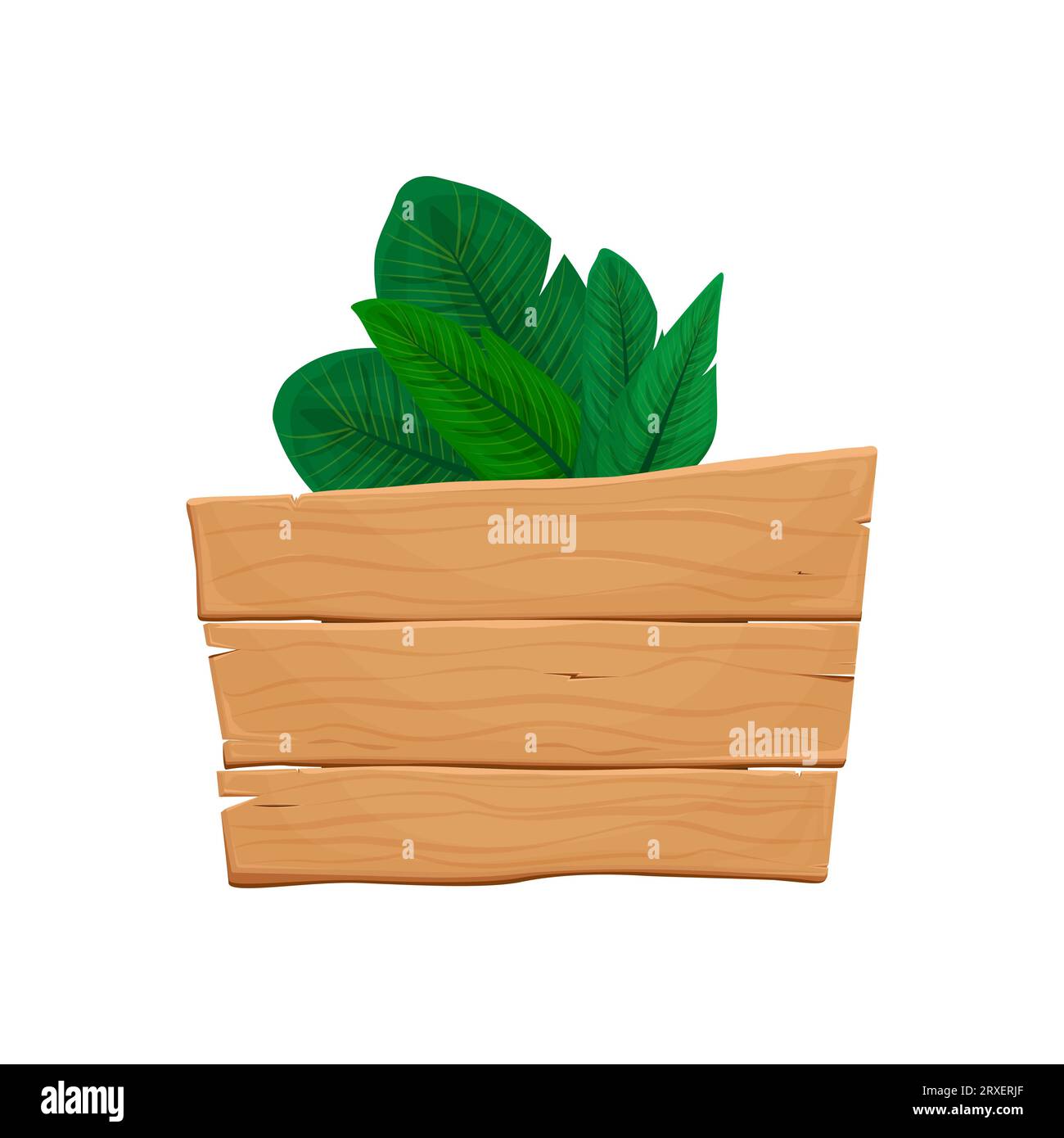 Banner board with tropical leaves. Wooden signboard template on a white ...